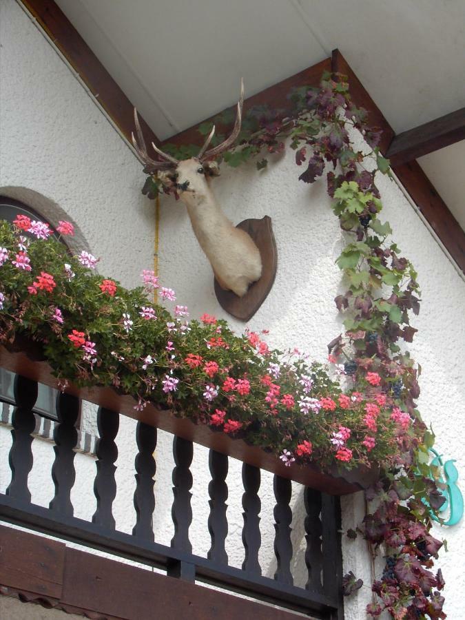 Gasthof Lederhose Diepenbeek Esterno foto